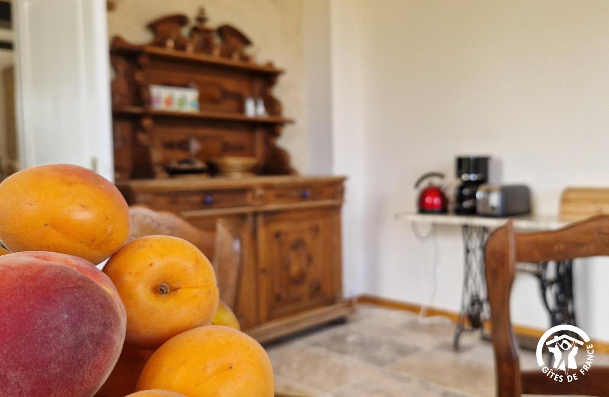 Aux Roses De Cedres Chambre Savane Salvagnac エクステリア 写真