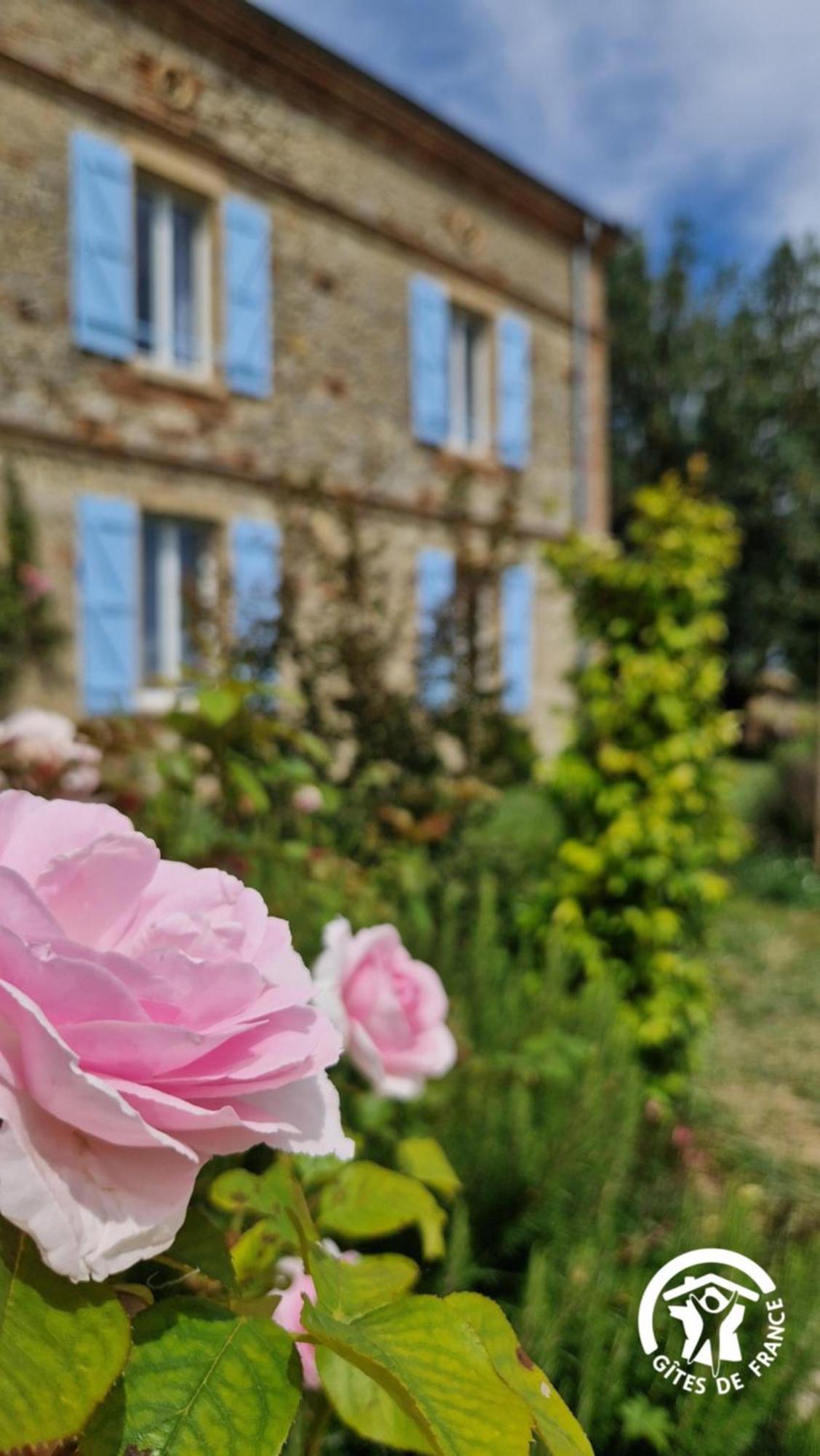 Aux Roses De Cedres Chambre Savane Salvagnac エクステリア 写真